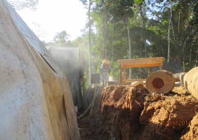 Fumigación de campamento - Obra. Construcción y ejecución de las obras civiles en la planta electrica, distrito de punchana, maynas, loreto(3)